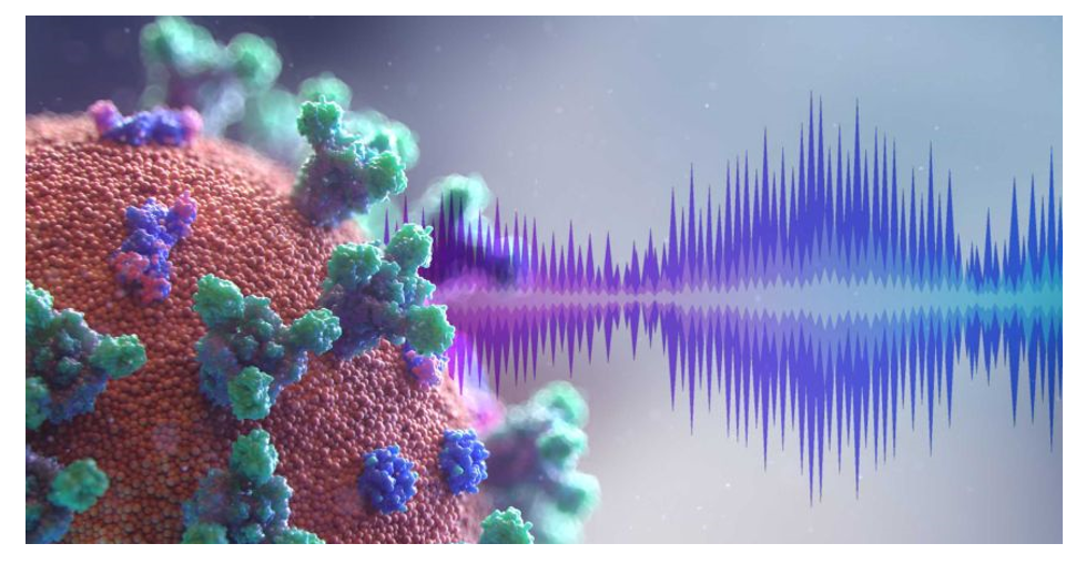 Science art: я тут вырастил уши на ладошке и рэп для микробов написал - 3