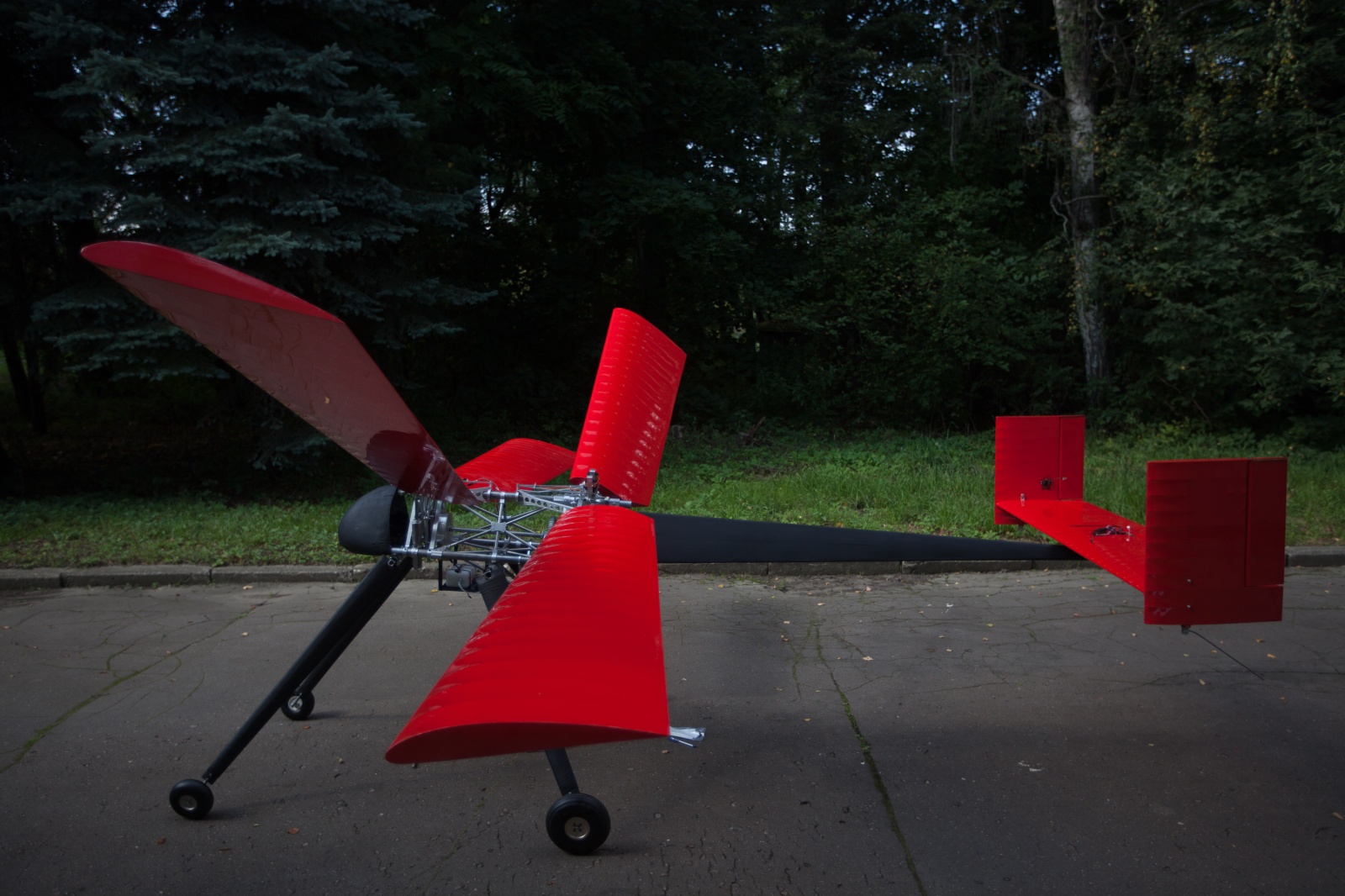 Махолет "FlapFlyer" Махолет "FlapFlyer"