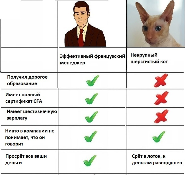 Вся суть проблемы с котом 