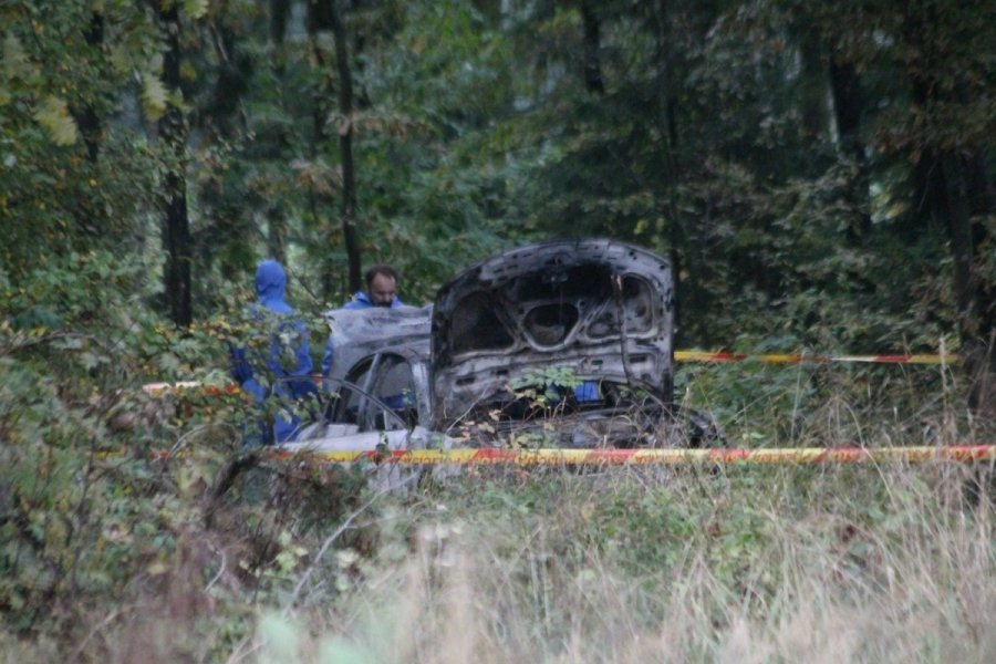 Какие технологии и софт используют волонтеры для поиска пропавших детей - 7