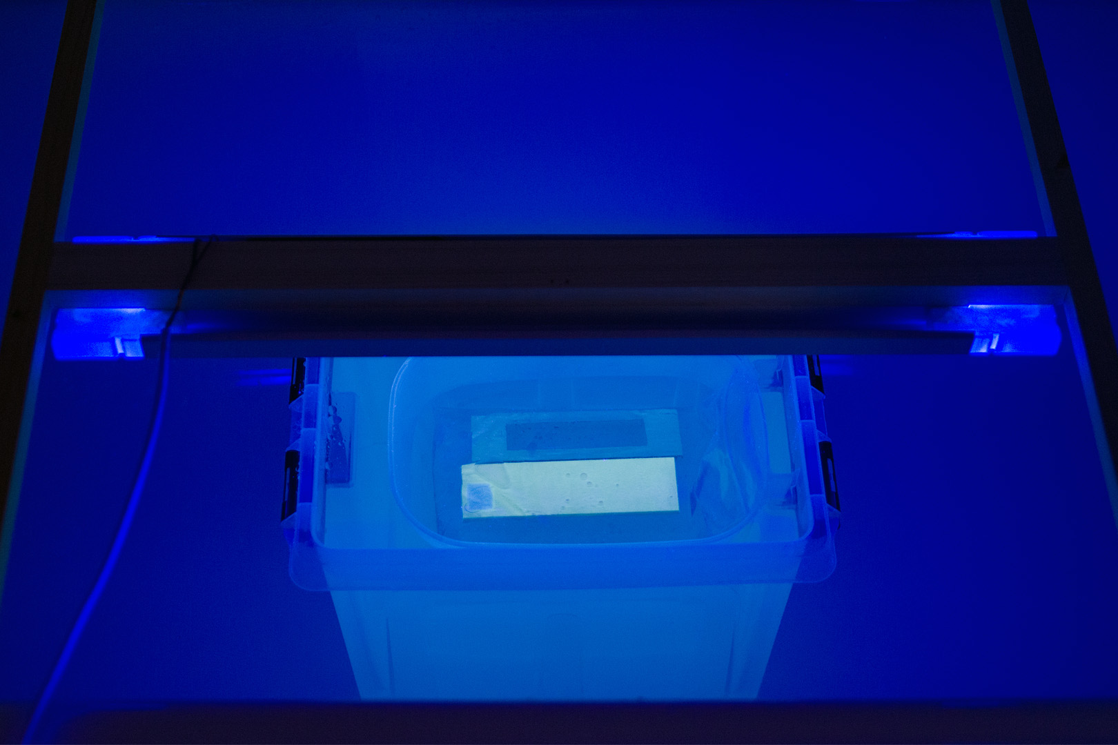 50 оттенков жёлтого. Часть 2 - 6 50 оттенков жёлтого. Часть 2 - 6