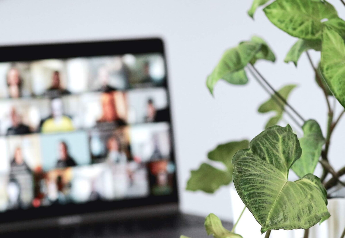 Фото: Sigmund / Unsplash.com Фото: Sigmund / Unsplash.com