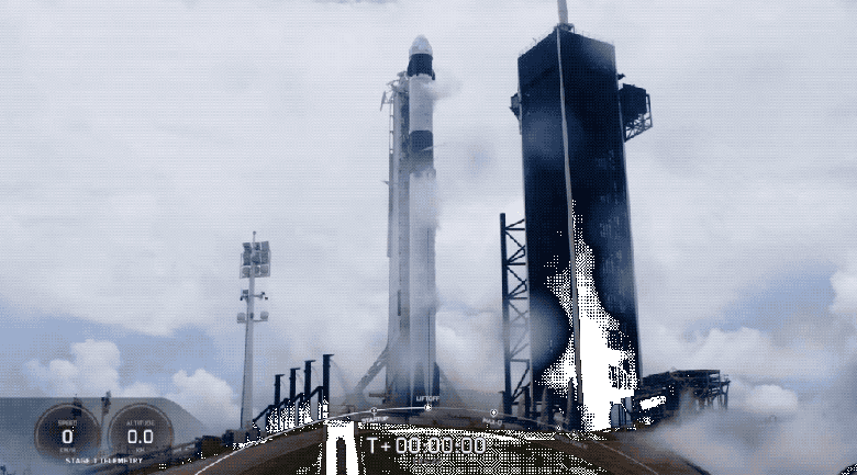 SpaceX отправила в космос 5000 тихоходок и 128 светящихся кальмаров