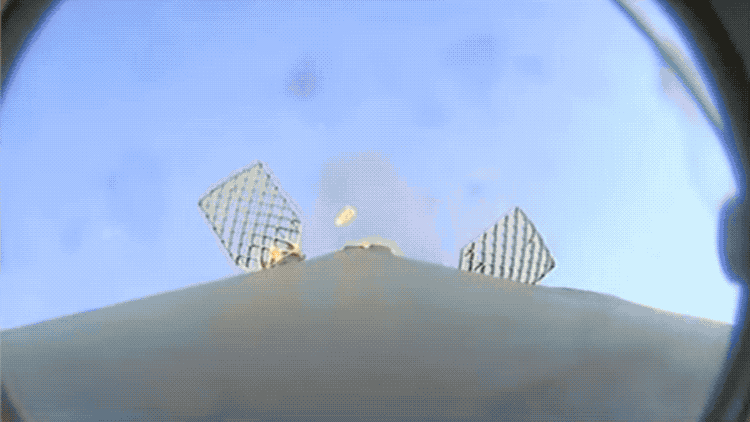 SpaceX отправила в космос 5000 тихоходок и 128 светящихся кальмаров - 3 SpaceX отправила в космос 5000 тихоходок и 128 светящихся кальмаров