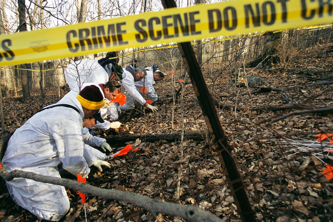 Body farm — что «выращивают» судмедэксперты - 2