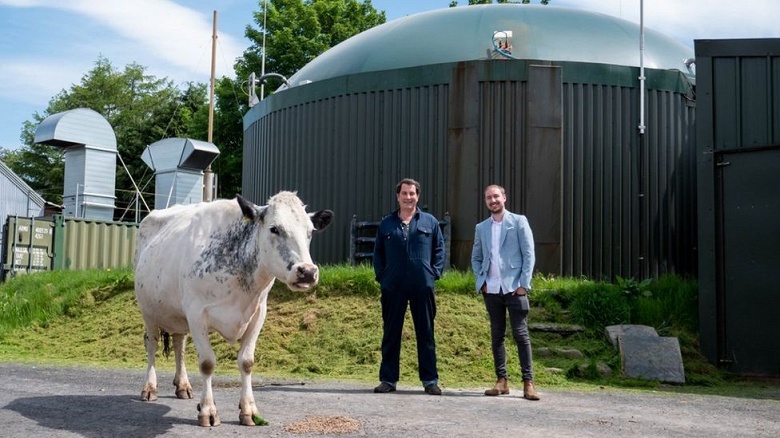 Илон Маск одобрил бы. Британский фермер использует коровий навоз для питания электричеством фермы, добывающей Ethereum