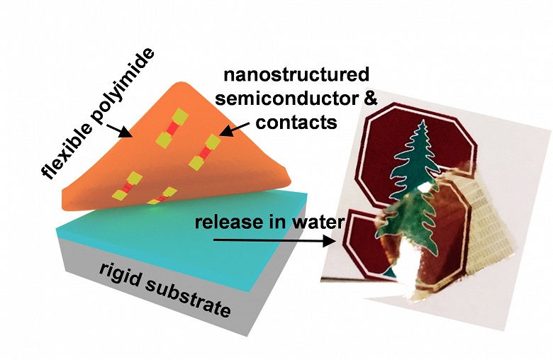 В Стэнфордском университете разработана новая технология для гибкой электроники