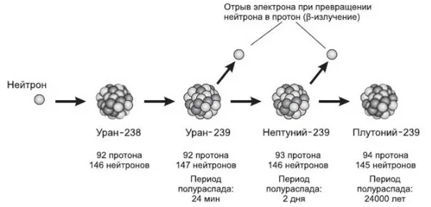 Реактор БРЕСТ-300 и замкнутый цикл в ядерной энергетике - 5