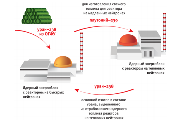 Реактор БРЕСТ-300 и замкнутый цикл в ядерной энергетике - 8