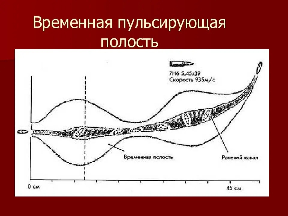 Её высочество Пуля - 5