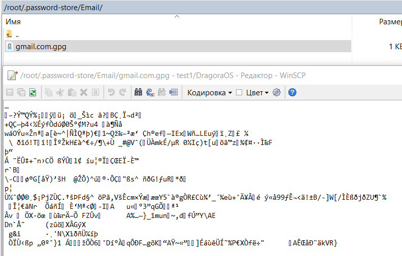 Менеджер паролей с GPG шифрованием: настройка PASS на iOS + Git - 12 Менеджер паролей с GPG шифрованием: настройка PASS на iOS + Git - 12
