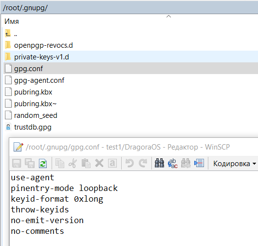 Менеджер паролей с GPG шифрованием: настройка PASS на iOS + Git - 16 Менеджер паролей с GPG шифрованием: настройка PASS на iOS + Git - 16