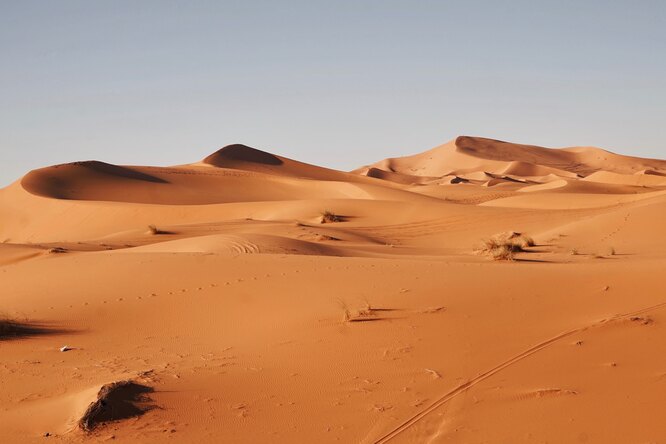 Почему Сахара была зеленой в прошлом