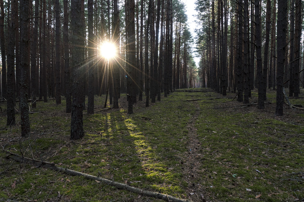 Внутри Зоны: 4-дневное погружение в чернобыльскую субкультуру сталкеров - 6 Внутри Зоны: 4-дневное погружение в чернобыльскую субкультуру сталкеров - 6