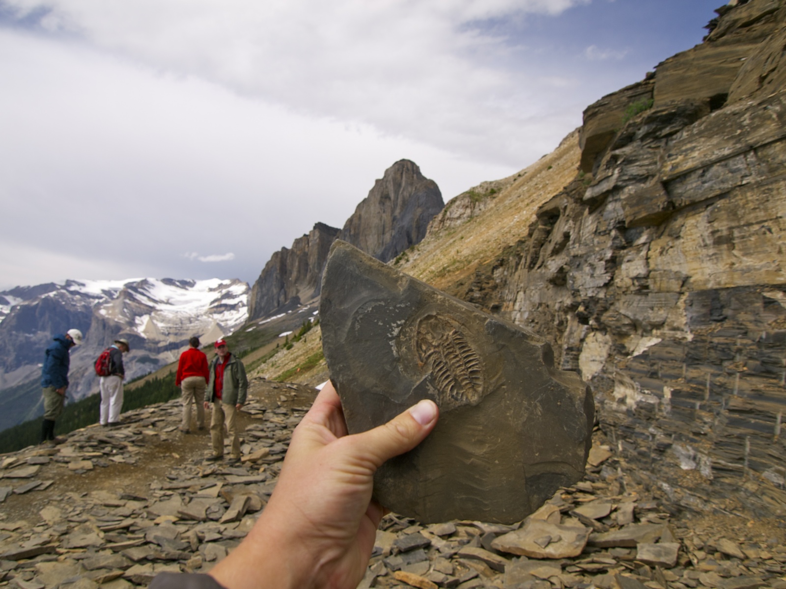 «Burgess Shale» - уникальная горная формация на склонах горы Маунт-Стивен в национальном парке Йохо в канадской части Скалистых гор на территории провинции Британская Колумбия. Это одно из богатейших в мире мест палеонтологических находок и лучшее в своём роде среди отложений кембрийского периода. Содержит множество окаменелостей. Некоторые ископаемые имеют аналоги и уныне живущих организмов.