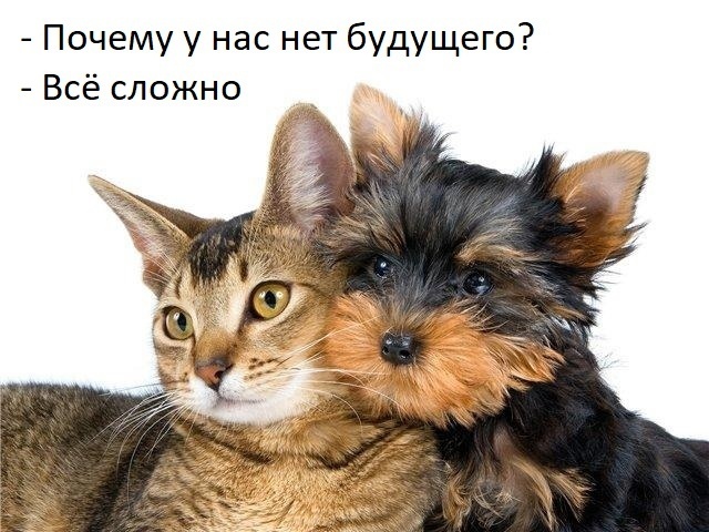 Почему тысячу лет назад вам было бы легче учить английский - 6 Почему тысячу лет назад вам было бы легче учить английский - 6