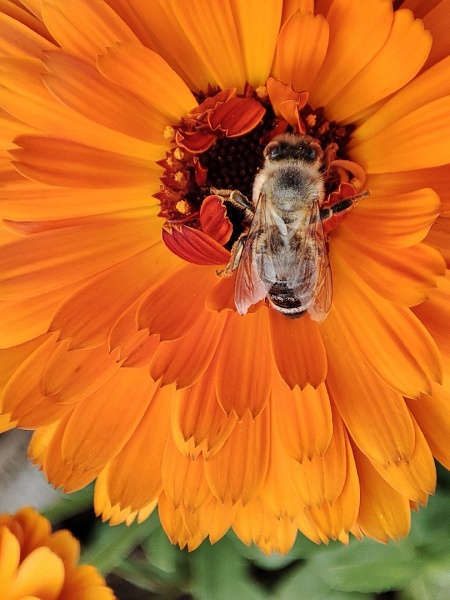 Глава Redmi показал огромный рисунок Redmi Note 10 Pro из России - 6 Глава Redmi показал огромный рисунок Redmi Note 10 Pro из России