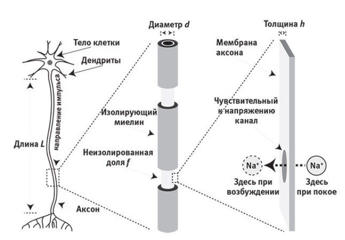 Рис. 4.