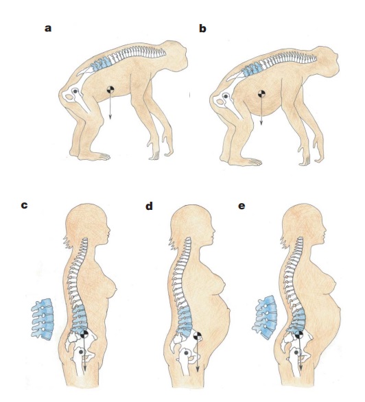 Шнобелевские премии 2001-2010 (часть 2) - 9 image