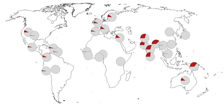 Плейстоценовые биобаги и биофичи. О неандертальской и денисовской ДНК у человека - 3 Плейстоценовые биобаги и биофичи. О неандертальской и денисовской ДНК у человека - 3