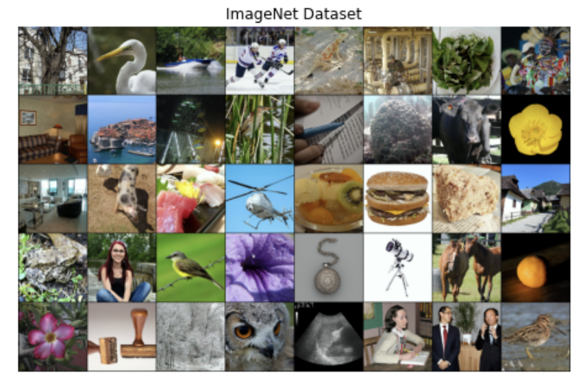 Примеры картинок датасета ImageNet. Там около тысячи классов.