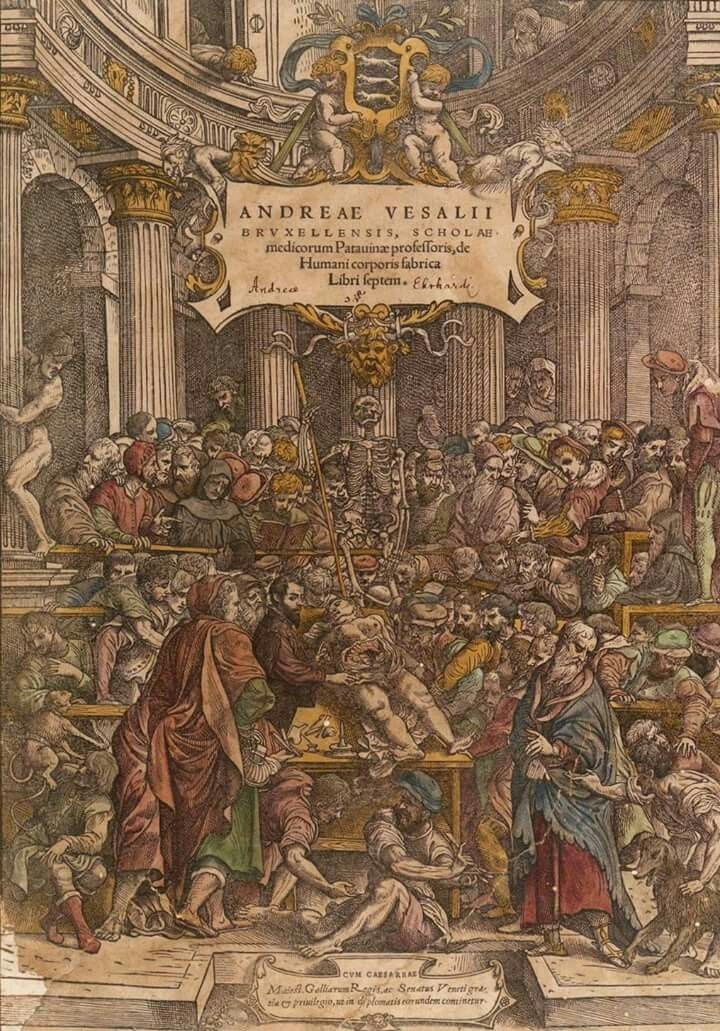 Фронтипс трактата «О строении человеческого тела» Среди собрания медиков можно различить Везалия — он стоит в самом центре, позади него Реальдо Коломбо, Мигеля Сервета, Джироламо Фракастро, Шарля Этьена, Парацельса и Француа Рабле. Всего 48 исторических персонажа.