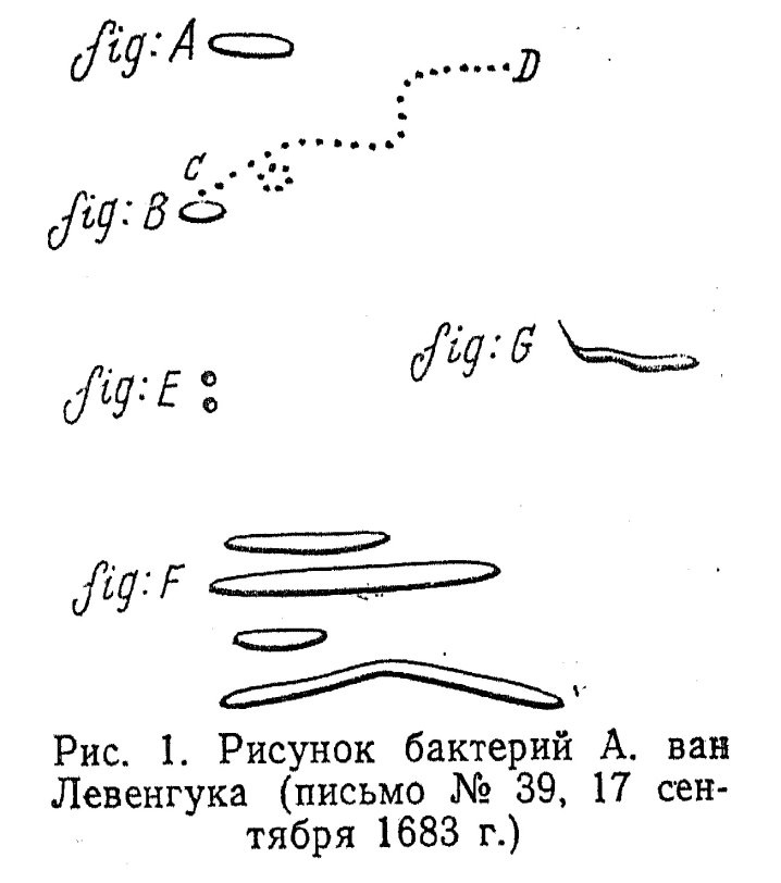 Знакомство с невидимками - 15