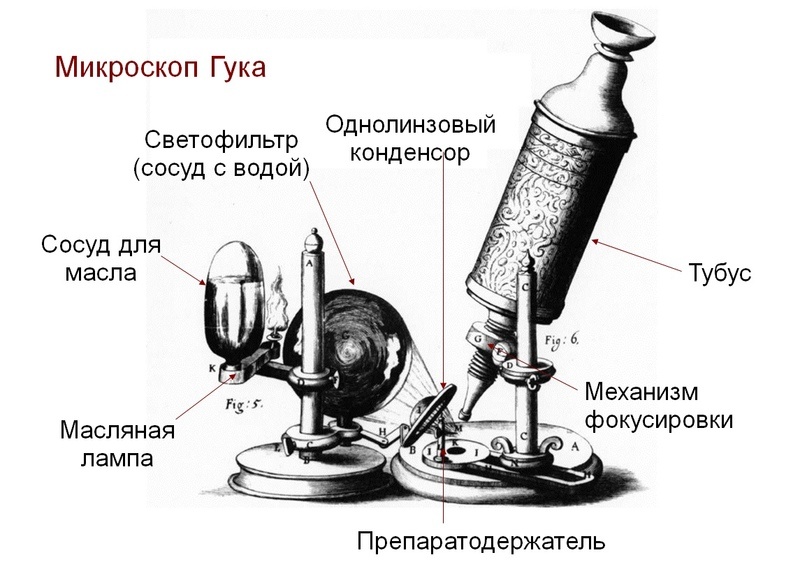 Микроскоп Гука