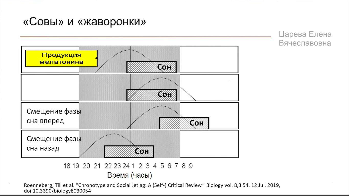 Здоровый сон взрослого человека — это засыпать за 15 минут и не вставать ночью попить и пописать - 2