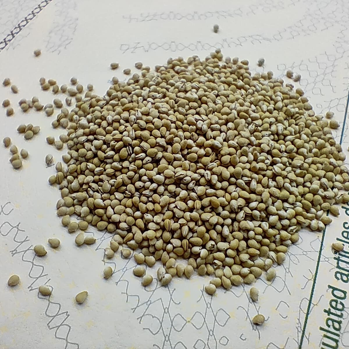 Семена гидропоника крема для соляриев конопля