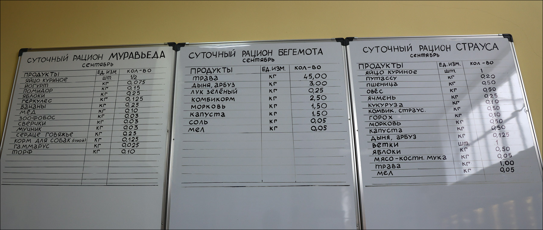 Зачем нужны правильные зоопарки и как может выглядеть зоопарк здорового человека - 17