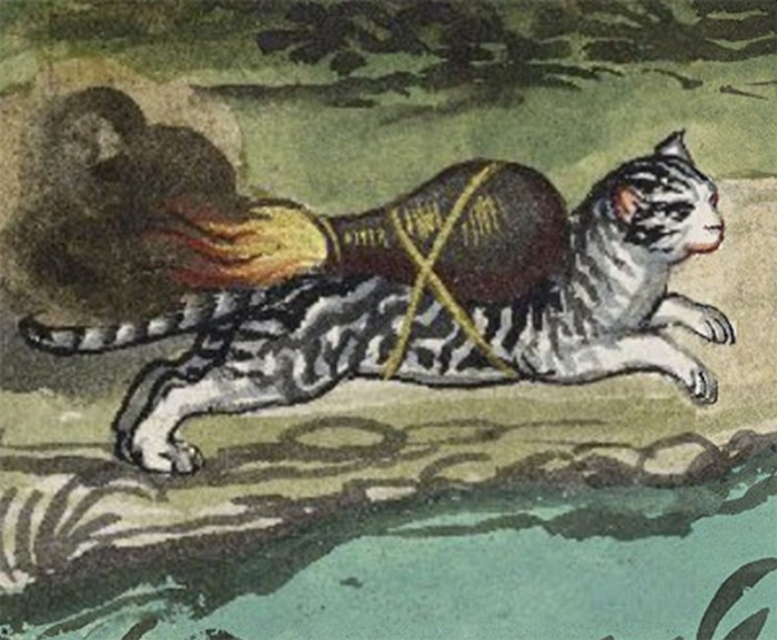 Военные хитрости средних веков: диверсии с помощью «кошек-ракет» - 1