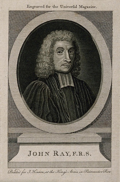 Джон Рэй 29.11.1627 — 17.01.1705 Джон Рэй 29.11.1627 — 17.01.1705