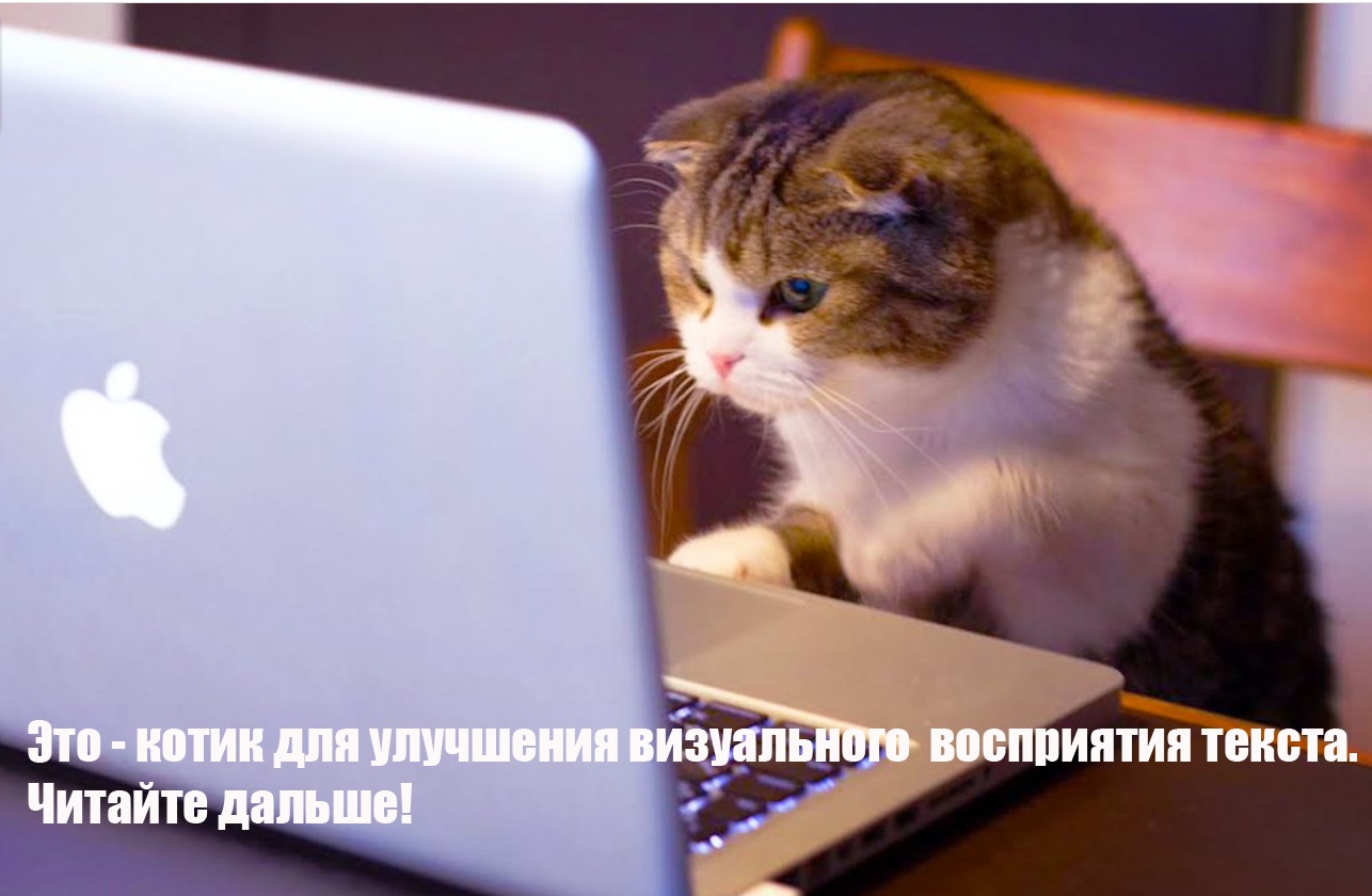 Книга, статья или блог? Во что упаковать свои знания - 3