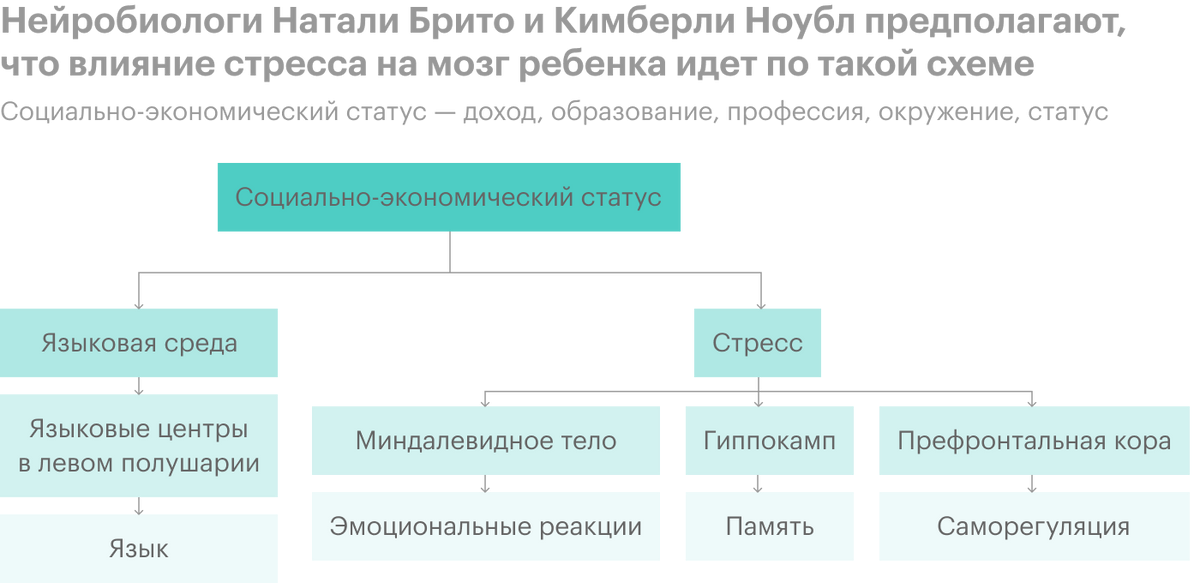 Почему все «прутся» в IT - 25