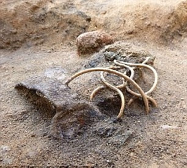 Взято www.thecolchesterarchaeologist.co.uk Взято www.thecolchesterarchaeologist.co.uk