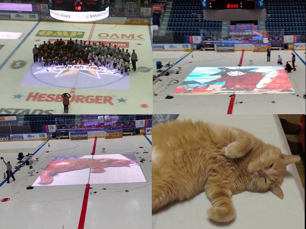 Что вы делали прошлым летом: на лыжах по городу - 24 image