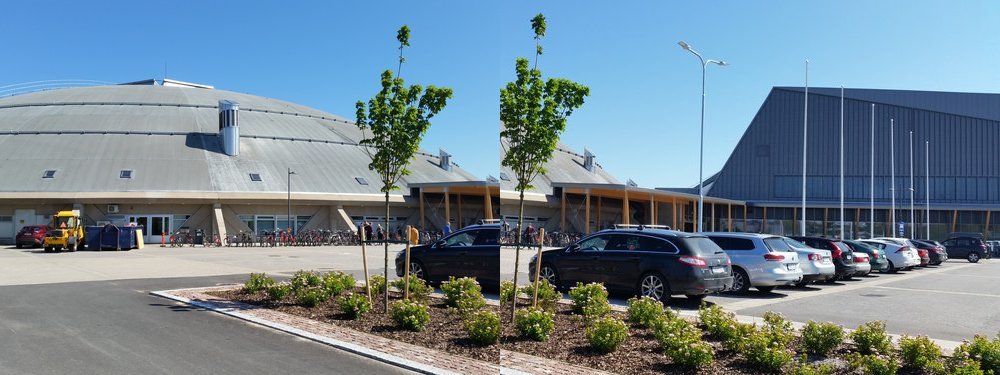 Что вы делали прошлым летом: на лыжах по городу - 25 image