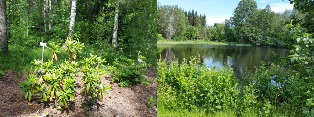 Что вы делали прошлым летом: на лыжах по городу - 35 image