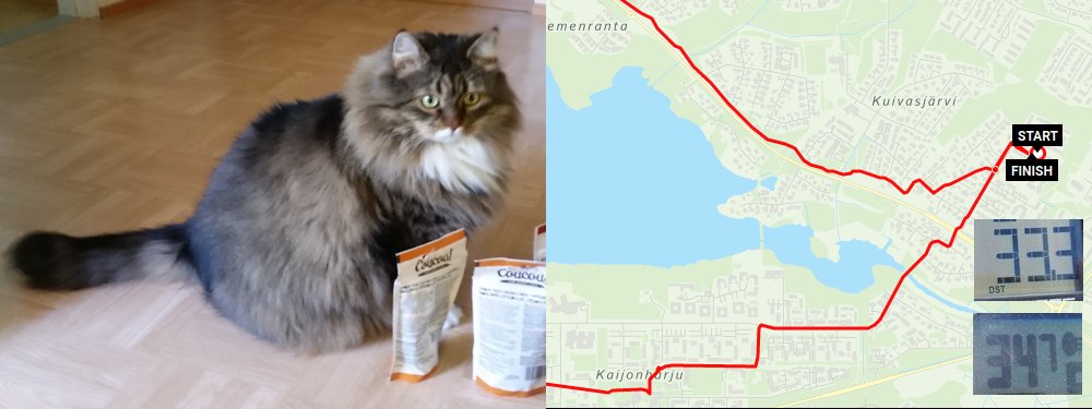 Что вы делали прошлым летом: на лыжах по городу - 39 image