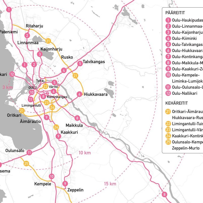 Что вы делали прошлым летом: на лыжах по городу - 9 image