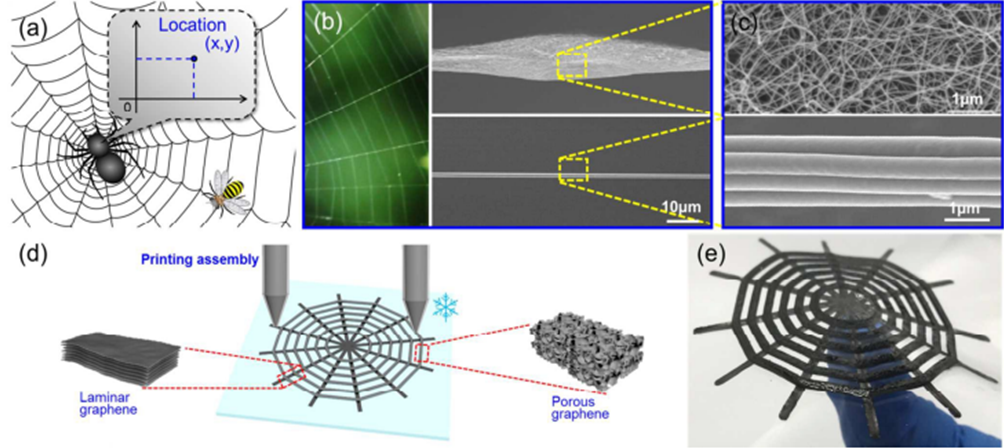 Их тяжкая работа важней иных работ. Как пауки плетут графен - 3