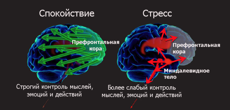 Некоторые разработчики никогда не пройдут собеседование - 1