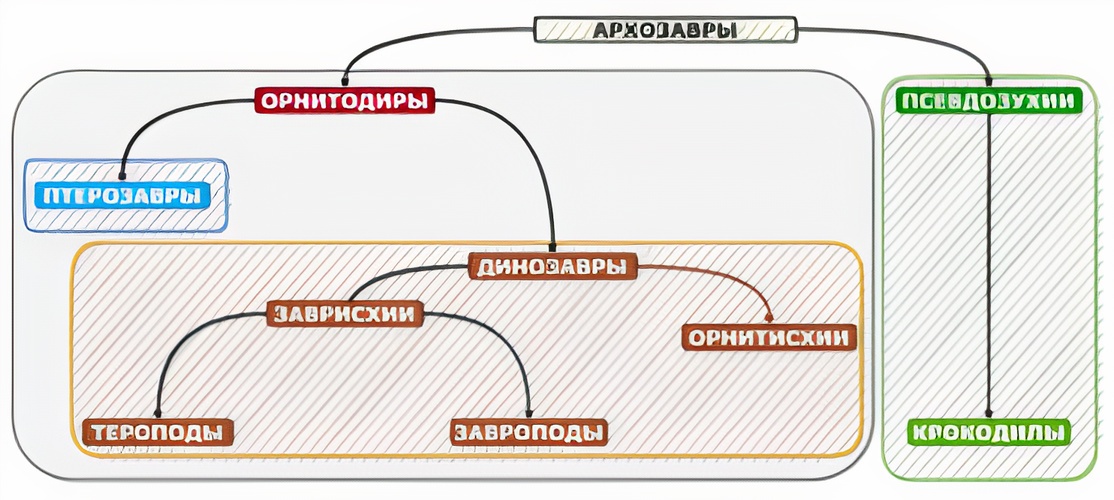 Что на картинке важно знать?1) Крокодилы - архозавры, но не птицы, тобишь мы видим их родственное положение друг к другу.2)  Заврисхии - ящеротазовые, орнитисхии - птицетазовые3) Птицы являются тероподами, тобишь ящеротазовыми динозаврами. (Картинку позаимствовали у УП)