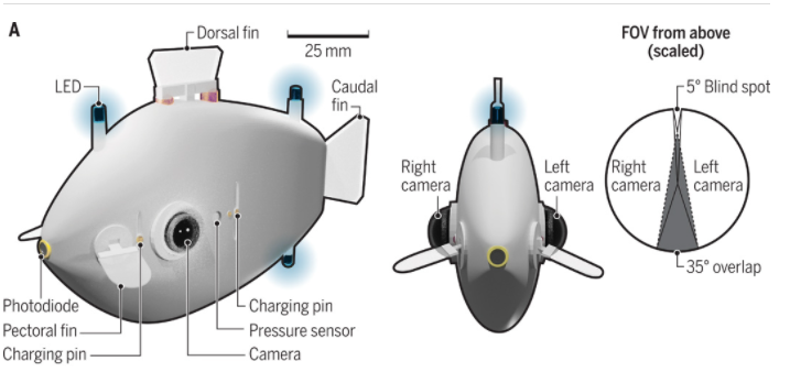 Рыбы-роботы осваивают океан - 11