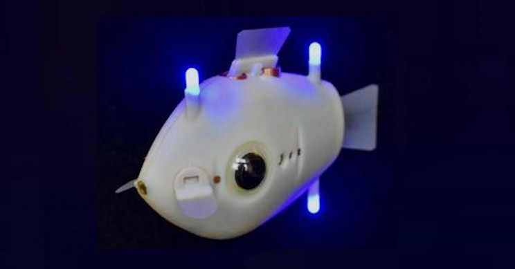 Рыбы-роботы осваивают океан - 7