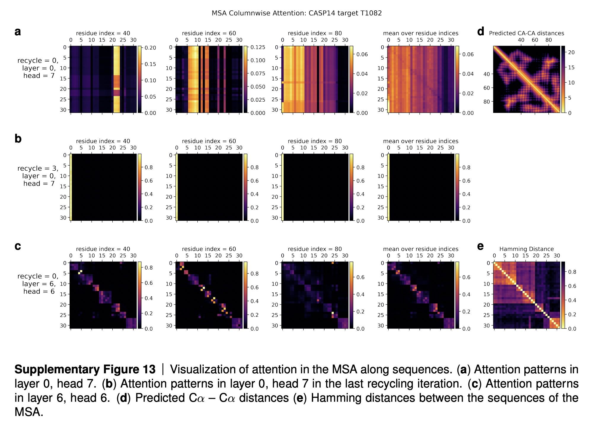 Карты внимания механизма самовнимания по последовательностям. Интерпретацию рядов (a)-(c) см. в тексте статьи. Картинка (d) содержит предсказанные расстояния между парами C-альфа атомов аминокислотных остатков белка. Картинка (e) содержит матрицу расстояний Хэмминга между последовательностями выравнивания, фактически, эквивалентную филогенетическому дереву, описыающему эволюционное родство данных последовательностей.