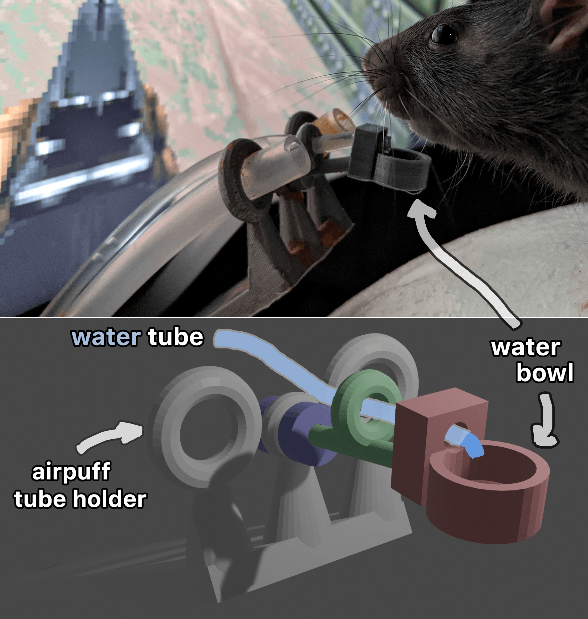 Обучение крыс игре в Doom VR - 4