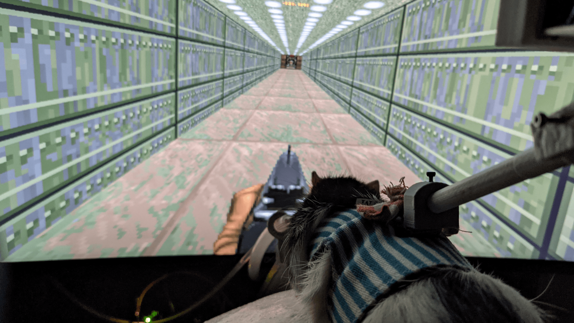 Обучение крыс игре в Doom VR - 1