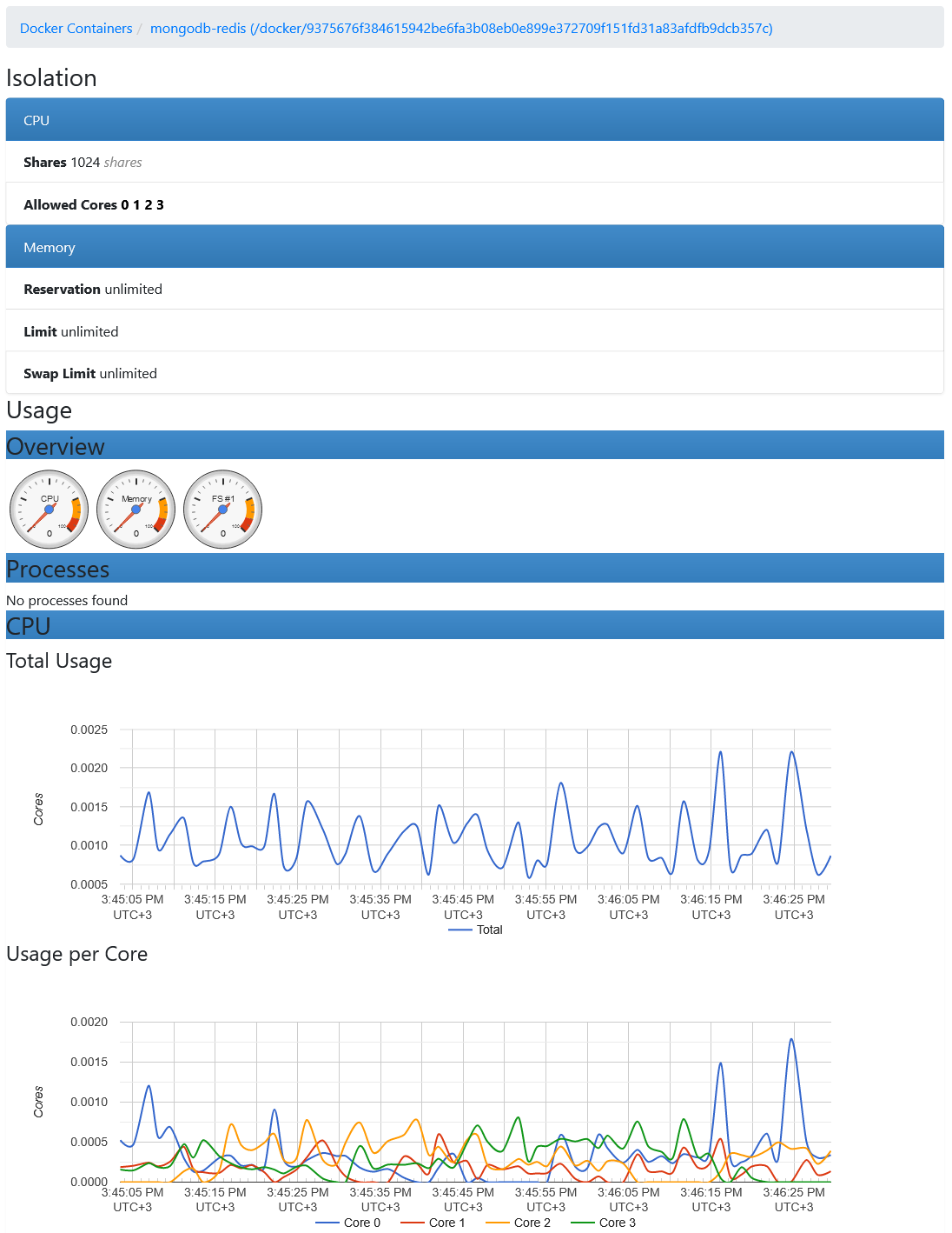 cadvisor container info